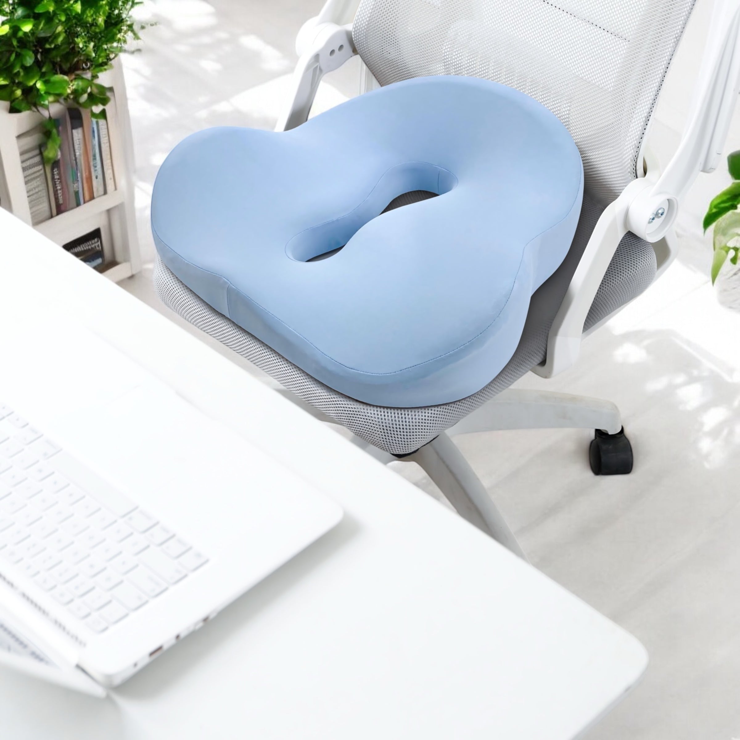 Baby Blue Seat Cushion at Working Desk